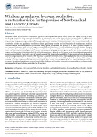Windenergy and green hydrogen production: a sustainable vision for the province of Newfoundland and Labrador, Canada